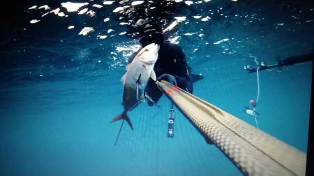 Guillermo Gonzalez Felanixt